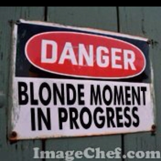 Dumb Blonde Moment 26